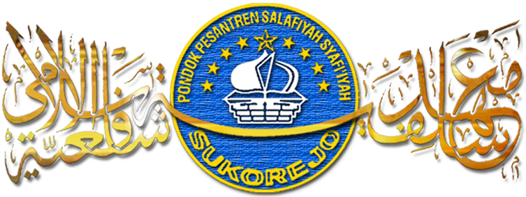 Logo P2S3